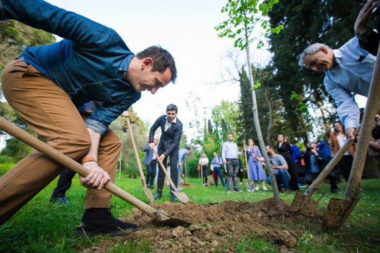 Tiranës i mungojnë miliona lekë dhe pemë