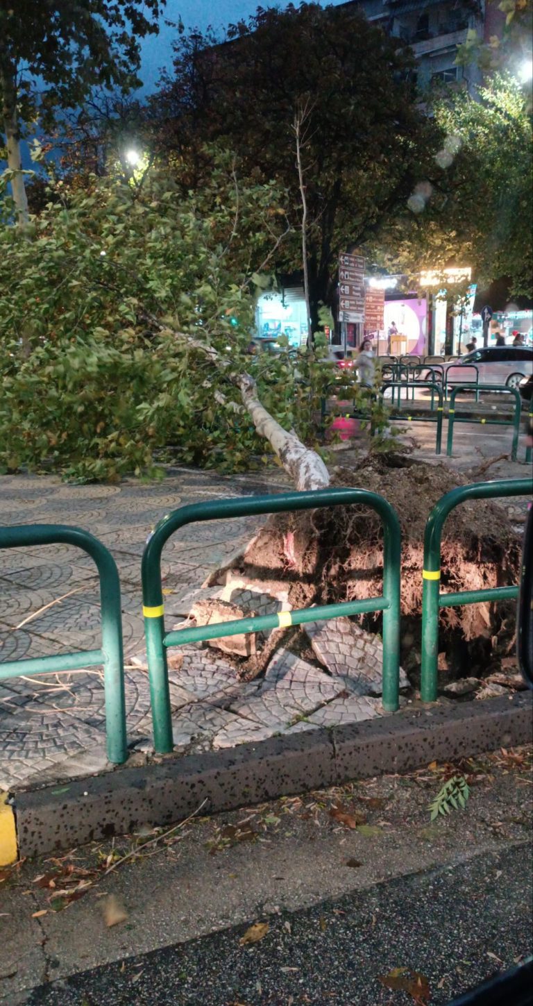 Shtrëngatat dhe era e fuqishme rrezikojnë jetën e qytetarëve në kryeqytet