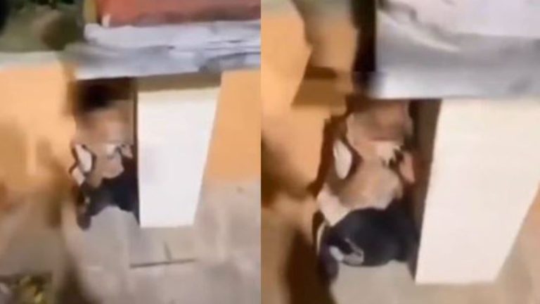 Ekstremistët e djathtë terrorizojnë një të mitur në Greqi: Agimi u Artë rikthehet (VIDEO)