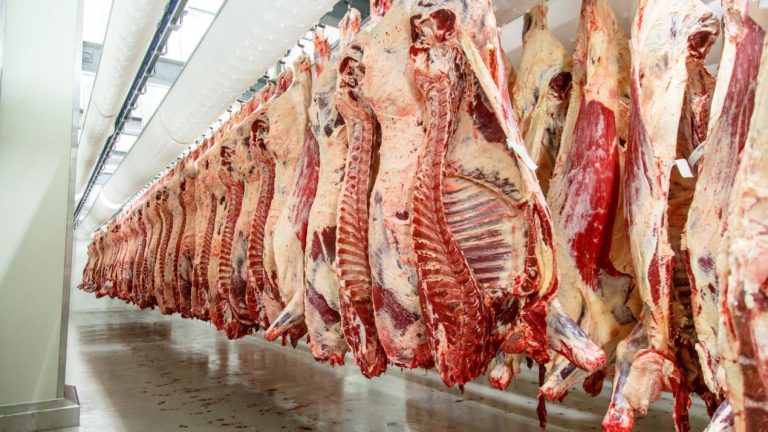 Skandal Me Mishin Nga Brazili – Kosova Ndalon Importin, Shqipëria E Jep Me Tender Në Çerdhe Dhe Spitale