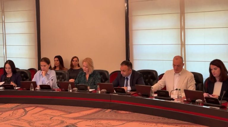 Behet gati projektligji: Shefat marrin lekët, vartësit mbajnë përgjegjësinë