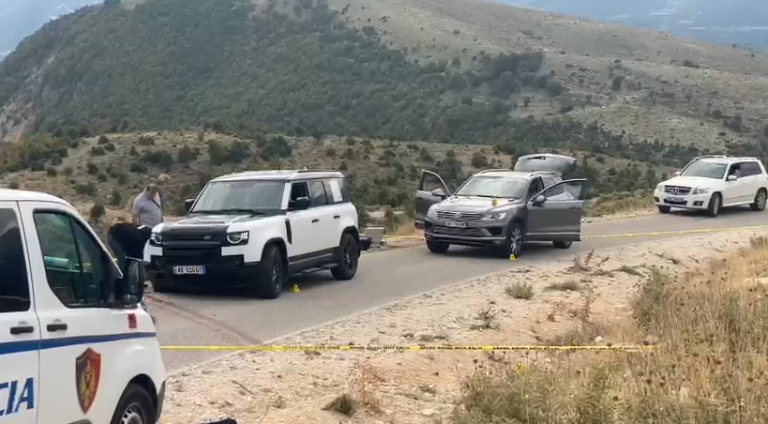 Misteri i Vrasjes së Biznesmenit Italian në Tepelenë, Pikëpyetjet Lidhur me Ekzekutimin