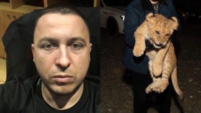 “Pyeti për luanin” – Mesazhi i fundit i Vis Martinajt dhe misteri që nuk shuhet