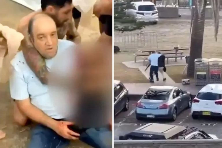 Hapet GoFundMe: Mbi 1 Milion Dollarë Për Ahmed Al-Ahmed, Heroin Që Çarmatosi Sulmuesin Në Bondi Beach