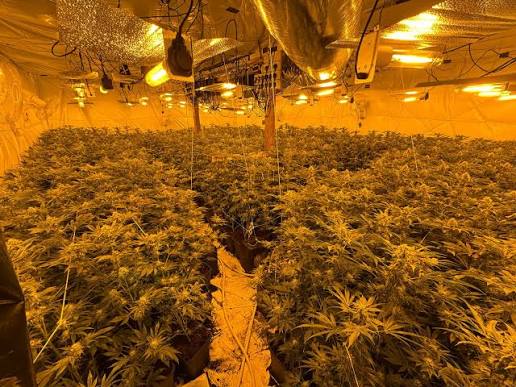 Stani I Drogës Në Lezhë, Dënime Të Rënda Me Burg Për Të Pandehurit