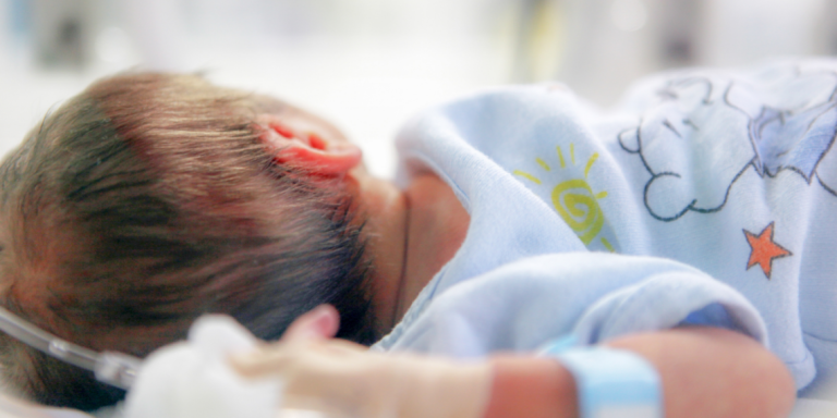 7 Qarqe Drejt Shuarjes Natyrore, Shqipëria Në Alarm Demografik