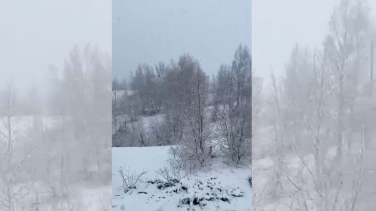 Pranverë e bardhë në Kukës: Dëbora rikthehet, rriten shqetësimet për kulturat bujqësore