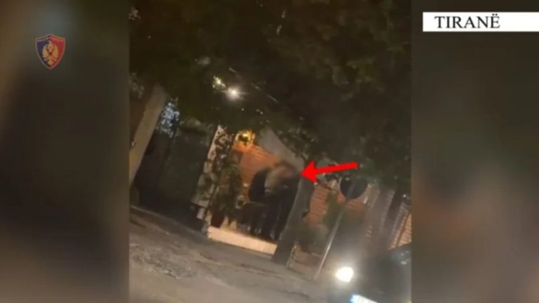 Aksioni antidrogë në Tiranë, gjykata lë në burg 14 të arrestuarit