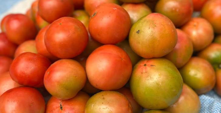 Çmimet Dalin Jashtë Kontrollit: Specat Arrijnë 500 Lekë, Domatet 400 Lekë Dhe Tregjet Zbrazen