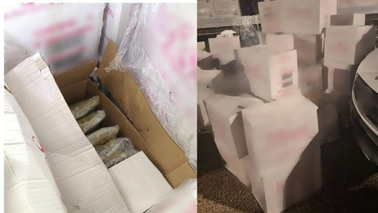 500 kg kanabis në Igumenicë, policia greke ndalon kamionin që shkonte drejt Turqisë