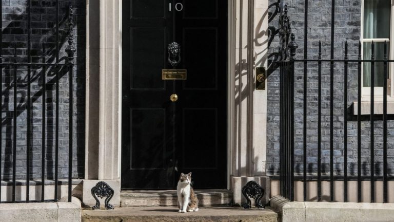 Larry i Downing Street sfidon rotacionin politik: macja që ka parë gjashtë kryeministra