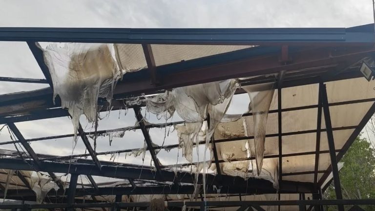 Zjarri në tregun e fruta-perimeve në Lushnjë, policia shpall në kërkim një të dyshuar