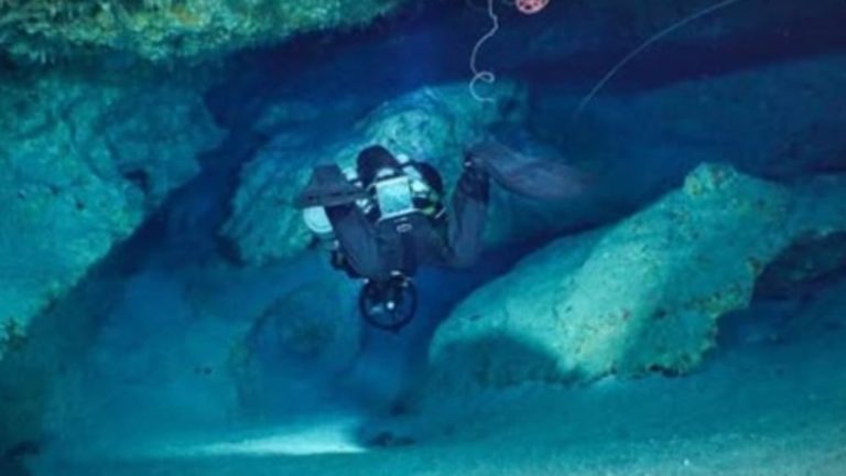 Tragjedia në Maldive: pamjet nga “Shpella e Peshkaqenëve” nxjerrin në pah kushtet fatale