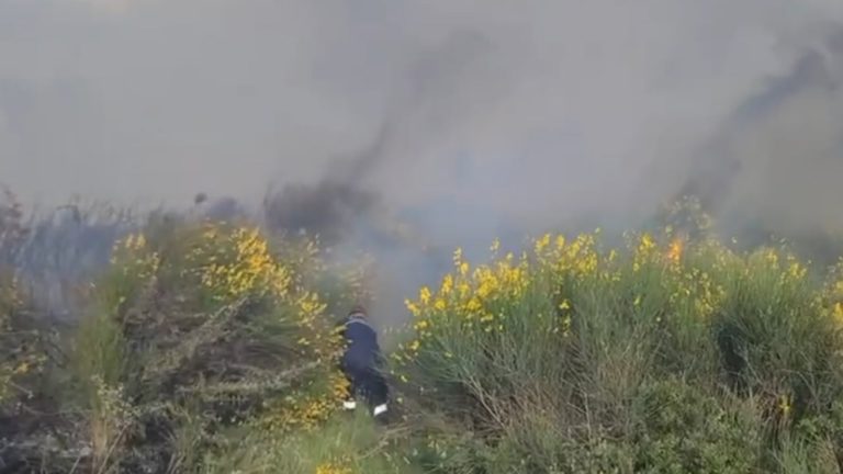 Zjarr në Vlorë, era përhap flakët drejt kodrave dhe ullishtave në Panaja
