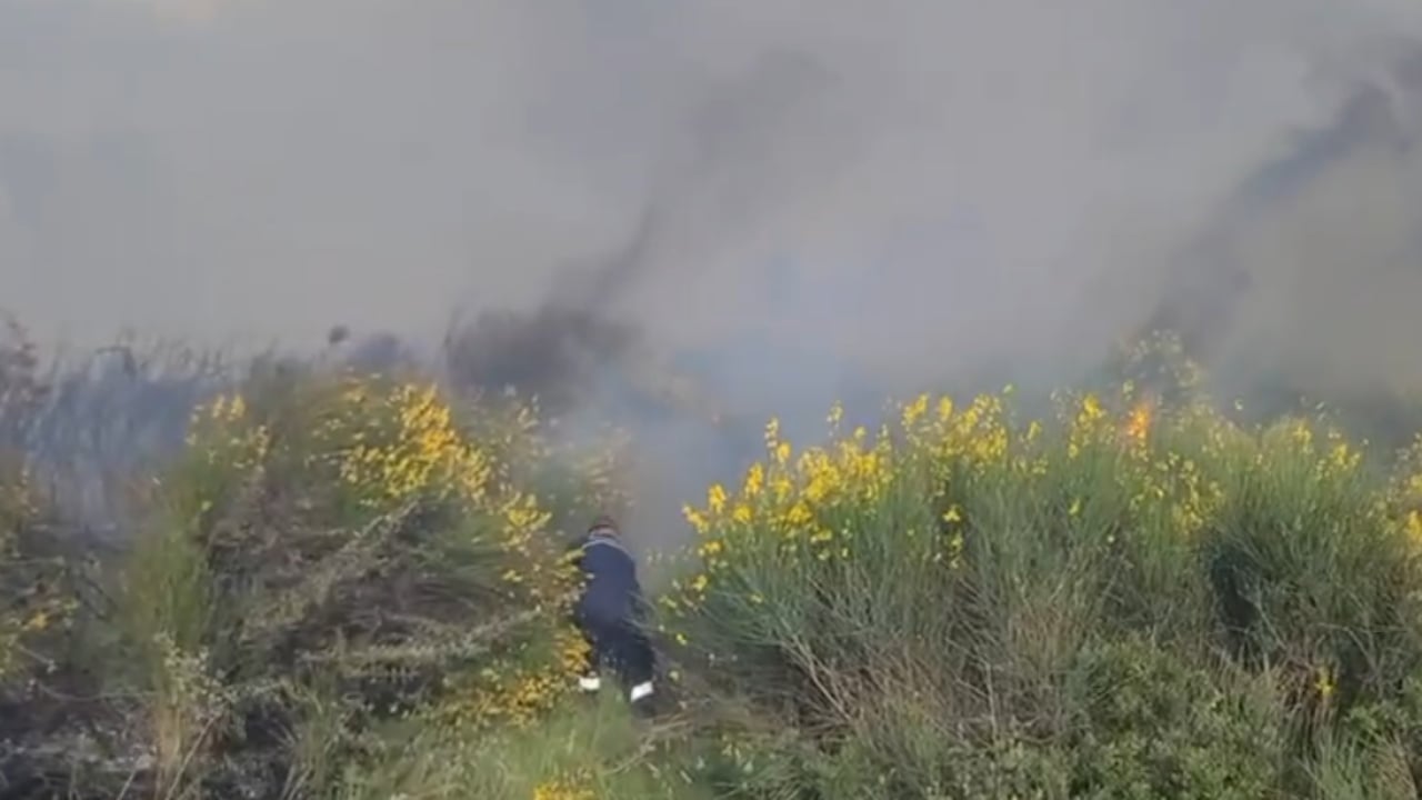 Zjarr në Vlorë, era përhap flakët drejt kodrave dhe ullishtave në Panaja