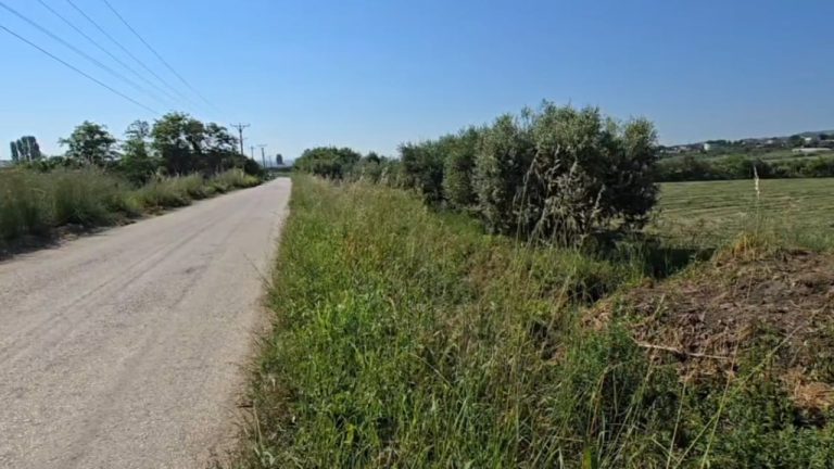 68-vjeçari gjendet i pajetë pranë rrugës në Fier, policia ngre pistën e shkaqeve natyrale