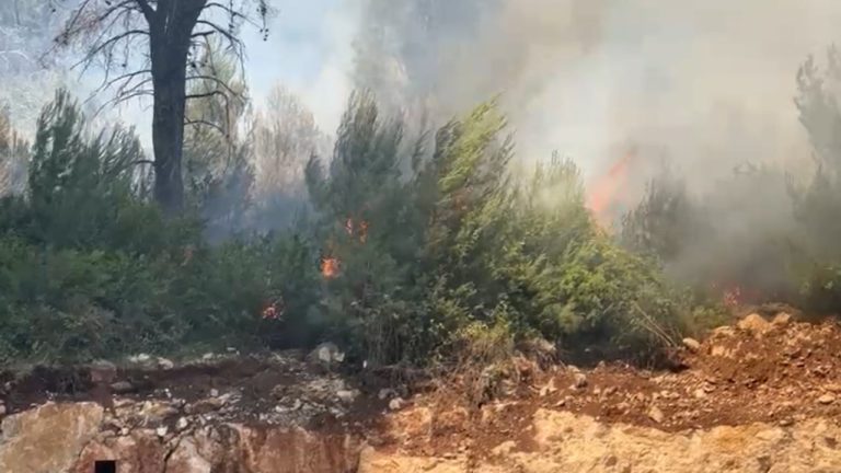 Zjarr pranë Ranës së Hedhun në Shëngjin, flakët afrohen te zona me pisha dhe hotelet