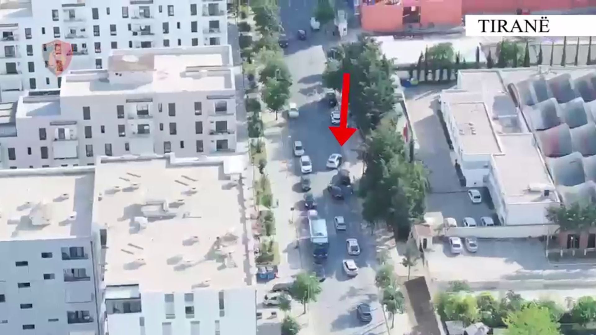 Tiranë, operacioni “Rrjeti”: 4 të ndaluar dhe 2 në kërkim për shitje armësh