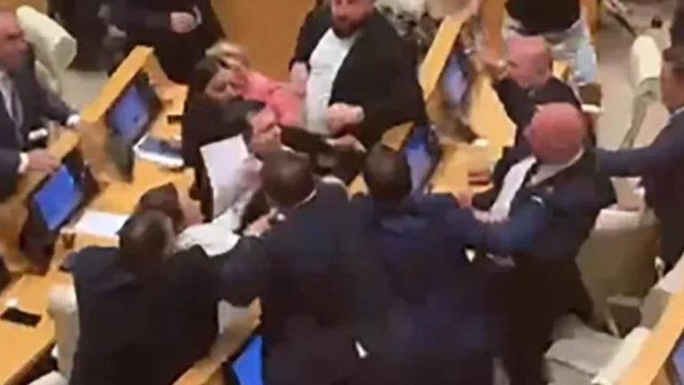 Grushte në parlamentin e Gjeorgjisë, seanca plenare degjeneron në përplasje mes deputetëve