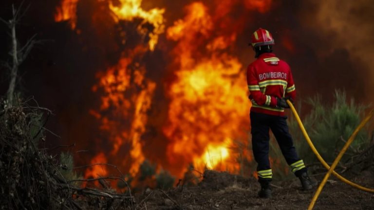 Zjarre masive në Evropën Jugore, Franca dhe Spanja raportojnë mijëra hektarë të djegur