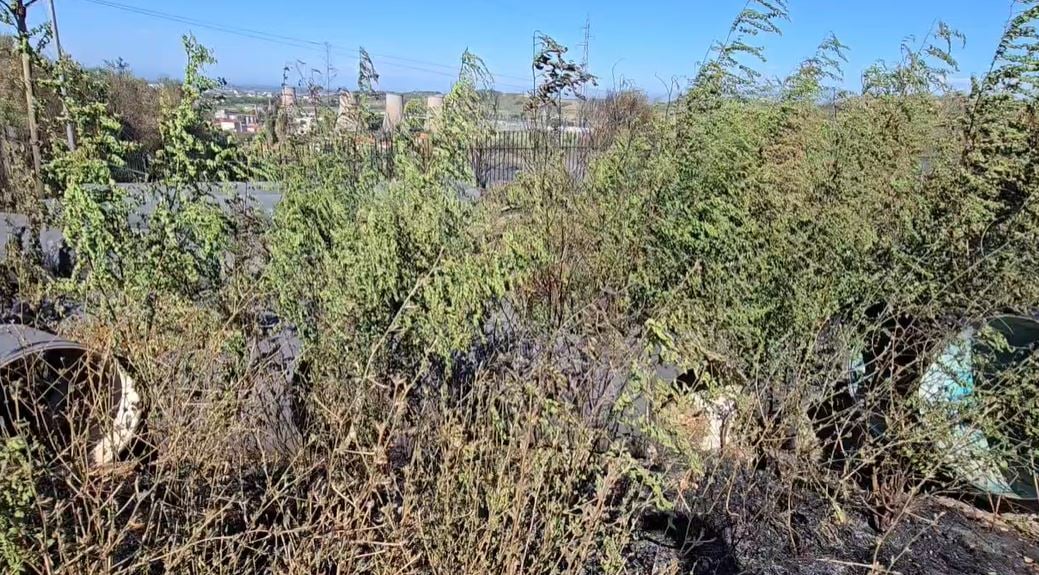 Zjarri në Drizë dëmton stacionin kryesor të ujit në Fier, pyetje për reagimin emergjent