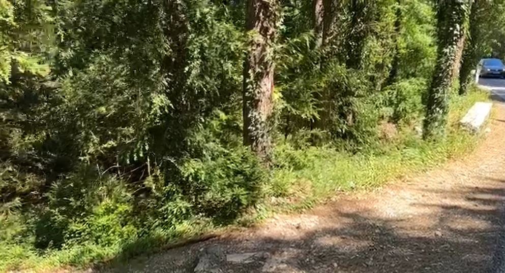SOS në malin e Çikës, dy turistë gjermanë bllokohen pranë majës së Qorres