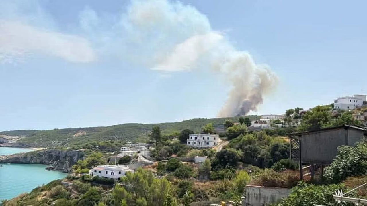 Zjarr i madh në Gargano të Italisë, turistët evakuohen me anije nga plazhet