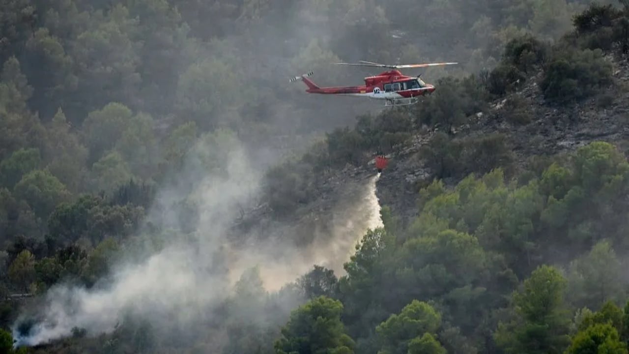 Why Europe Is Burning This Summer: Extreme Heat and Drought Are Fueling Wildfires