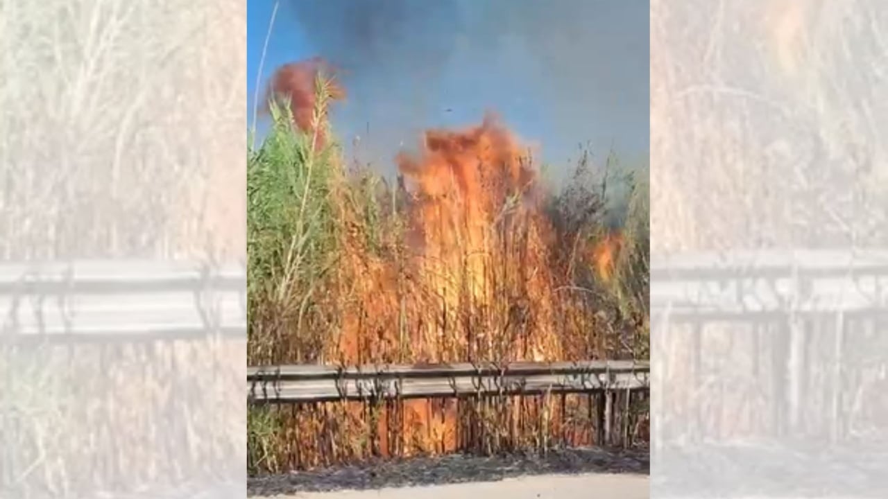 Zjarr në Novoselë të Vlorës, flakët avancojnë drejt ullishteve mes erës dhe vapës