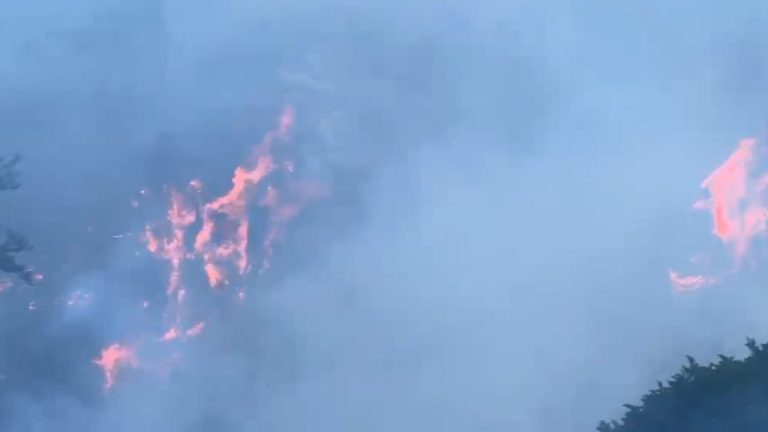 Zjarr i madh në Gurshpatë të Librazhdit, flakët përhapen mes erës së fortë dhe vapës