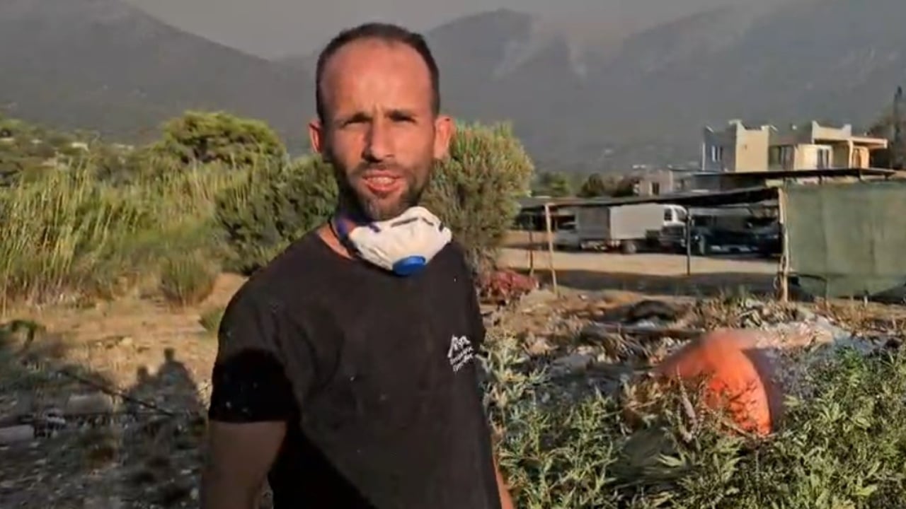 Zjarret në Greqi dhe përplasja e helikopterëve, shqiptarët rrëfejnë orët e tmerrit pranë flakëve