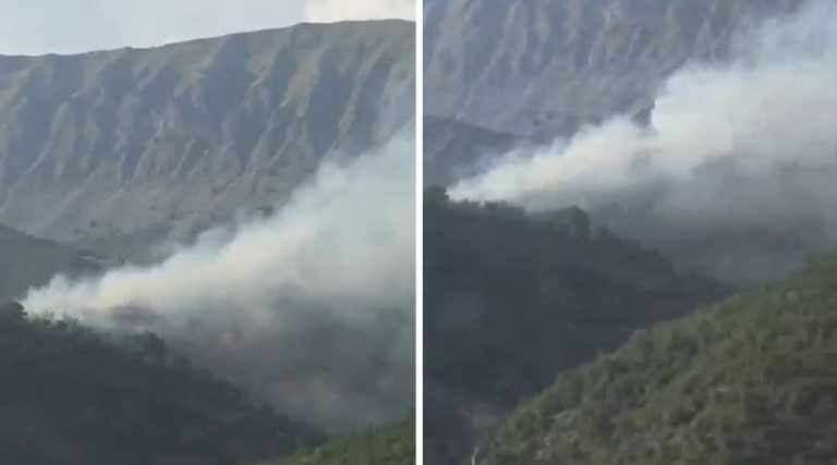 Zjarr në Opar të Moglicës, flakët përhapen me shpejtësi dhe kërkohet ndërhyrje urgjente