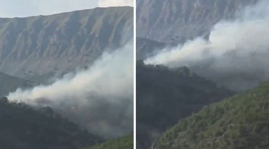 Zjarr në Opar të Moglicës, flakët përhapen me shpejtësi dhe kërkohet ndërhyrje urgjente