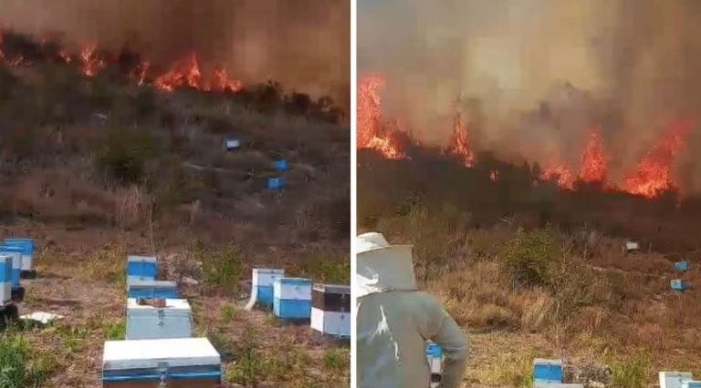 Zjarri në Finiq del jashtë kontrollit, flakët avancojnë drejt zonave të banuara