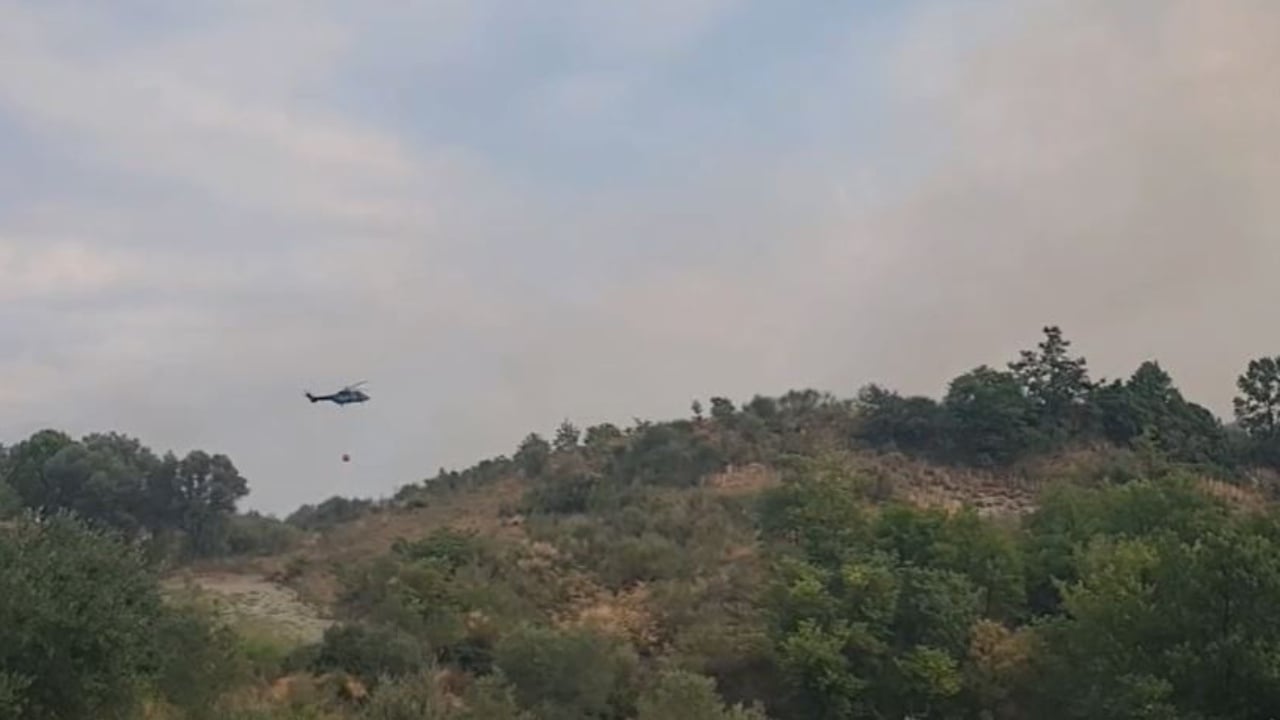 Zjarret në Fier mbeten jashtë kontrollit në disa fshatra, kërkohen urgjent dy helikopterë