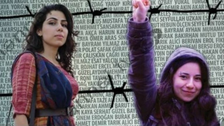 Arrestimi i turkes në Sarandë, çfarë del nga dosja e Julide Yazici për protestën e vitit 2016