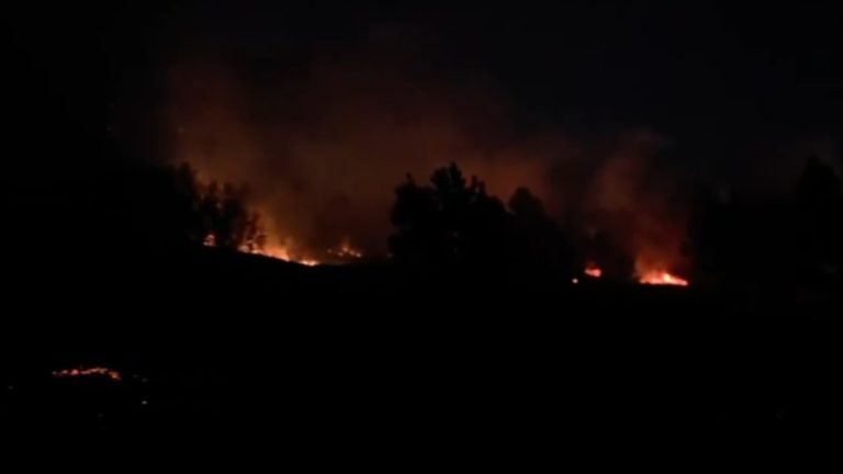 Zjarr mbi fshatin Sinicë në Devoll, flakët në pyll dhe ende pa bilanc zyrtar dëmesh