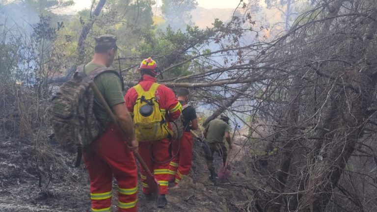 Zjarri në Drenije të Patosit del nga kontrolli gjatë natës, 68 forca në terren