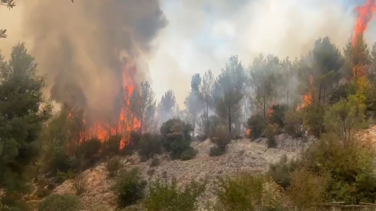 Zjarret në Shqipëri: vetëm 18 fajtorë në 211 çështje, piromanët po i shpëtojnë drejtësisë