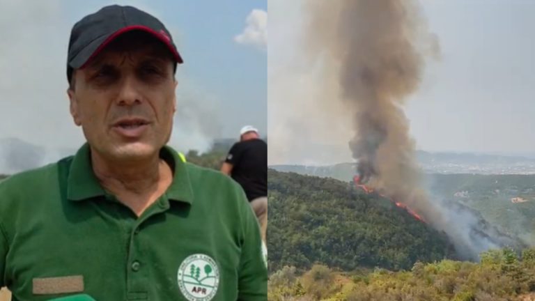 Zjarri mes Daiasit, Lundrës, Farkës dhe Priskës: digjen rreth 20 hektarë