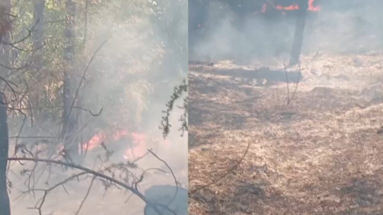 Zjarri ne Lugaxhi te Elbasanit avancon drejt banesave, zjarrfikesit ne terren