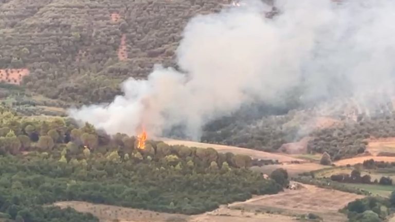 11 vatra zjarri mbeten aktive në vend, Gurë-Lura nën presion por banesat jashtë rrezikut