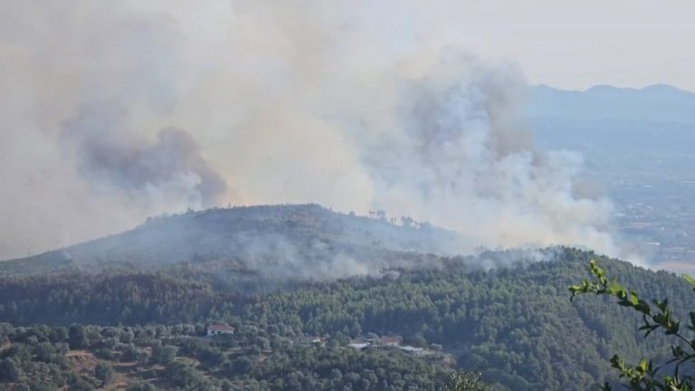 35 vatra zjarri në 24 orë, 8 ende aktive: Dajti, Lura dhe Kruja mbeten pikat më problematike