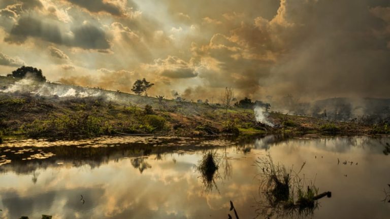 El Niño vë Amazonën në alarm: shkencëtarët paralajmërojnë thatësirë e zjarre deri në 2027