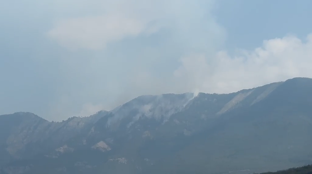 Zjarret në Shqipëri: 9 vatra aktive, ndërhyrje në Dajt e Gurë-Lurë me 4 mjete ajrore