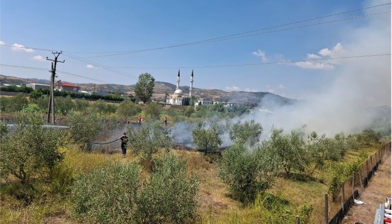 Zjarr në Cërrik, flakët përfshijnë parcelën me ullinj dhe afrohen pranë banesave