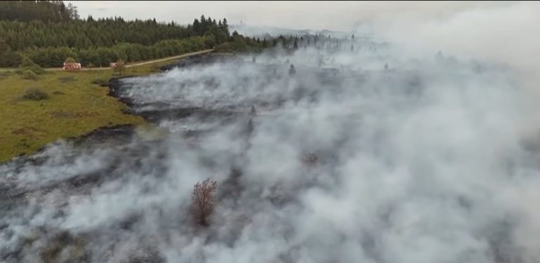 Zjarri rekord në Belgjikë djeg 30 mijë hektarë, flakët shtyhen drejt Gjermanisë