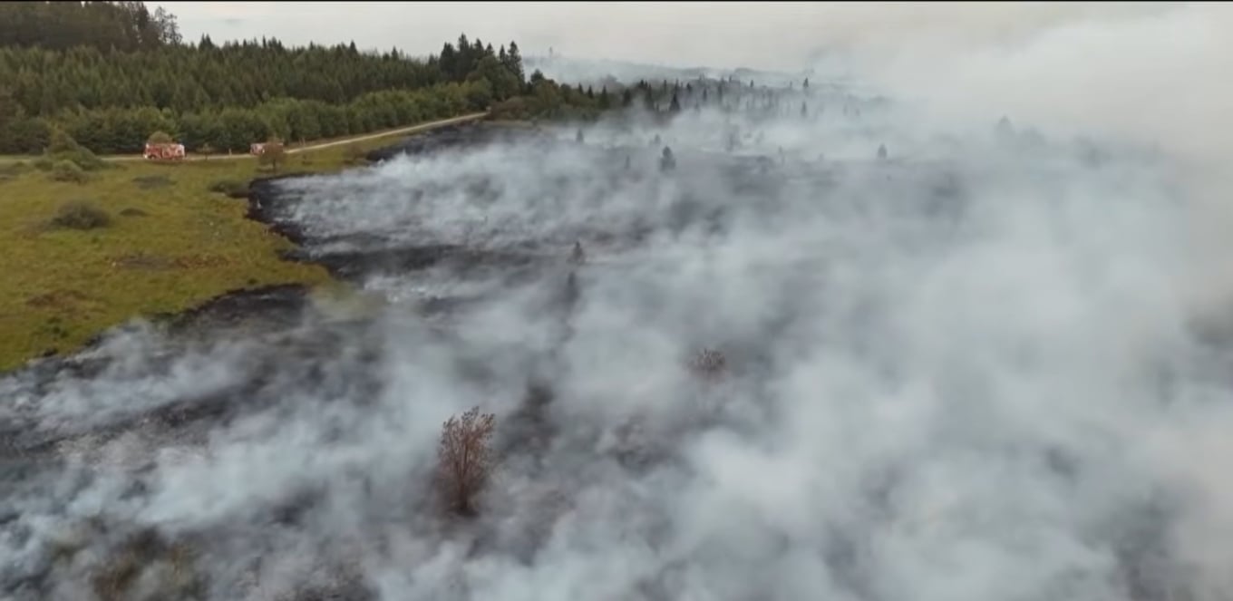 Zjarri rekord në Belgjikë djeg 30 mijë hektarë, flakët shtyhen drejt Gjermanisë