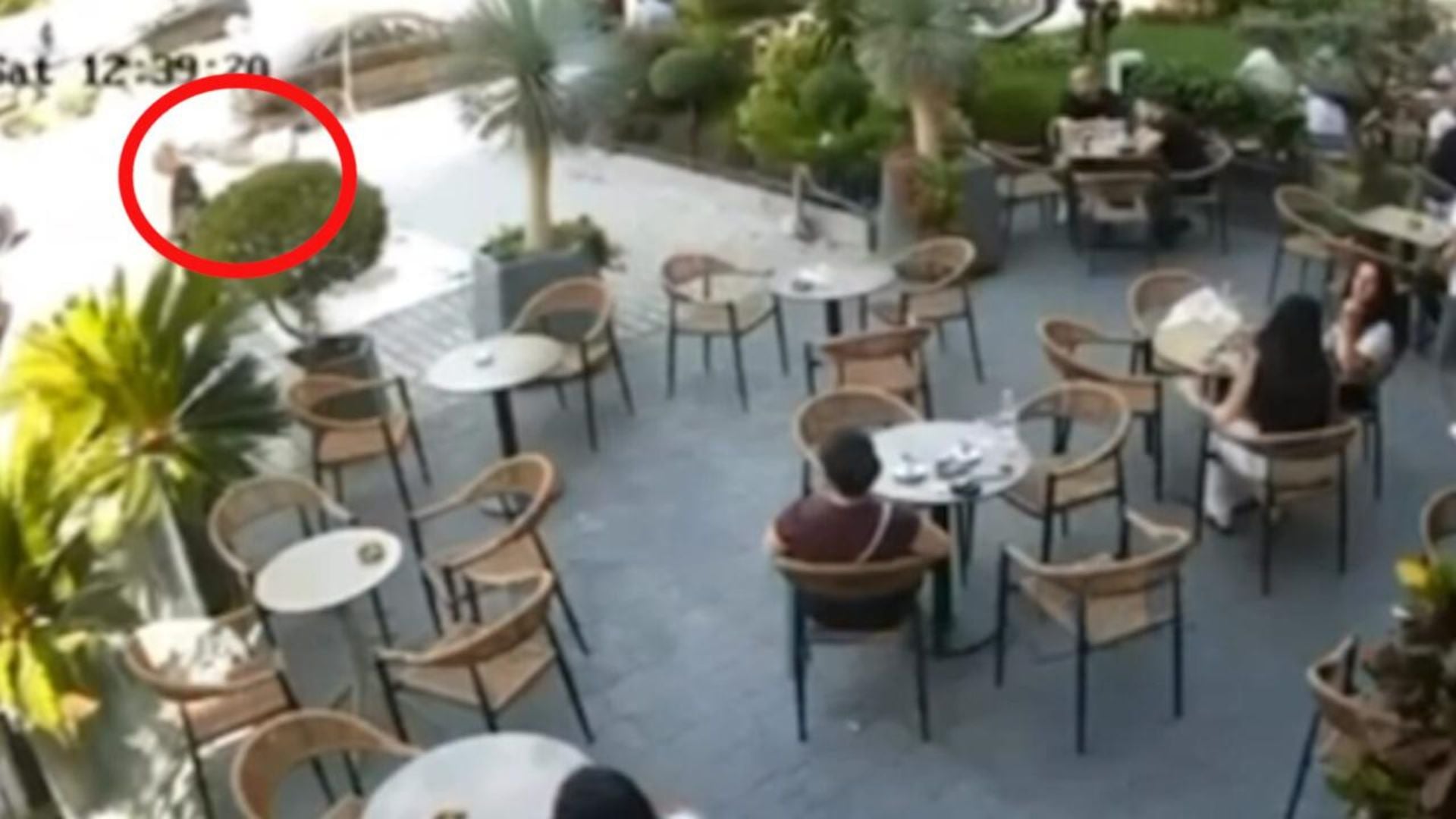 Elbasan, lihet në burg Poli Boriçi pas atentatit ndaj Ermir Kërtezit në lokal