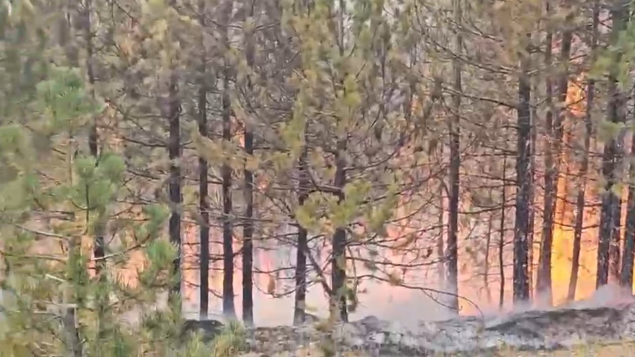 Zjarri në Malin e Tërbunit në Pukë del jashtë kontrollit, nisin helikopterët nga ajri